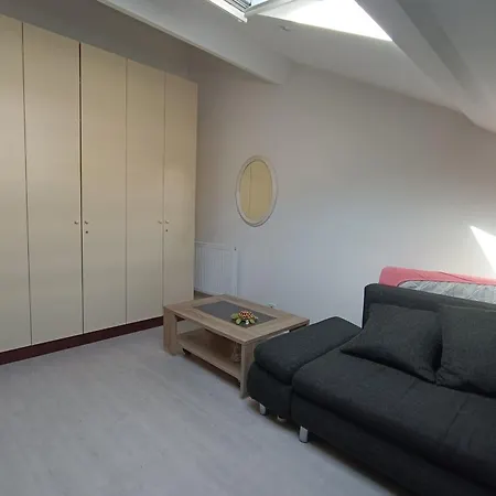 Apartamento Charming T5 With Garden And Terrace *
