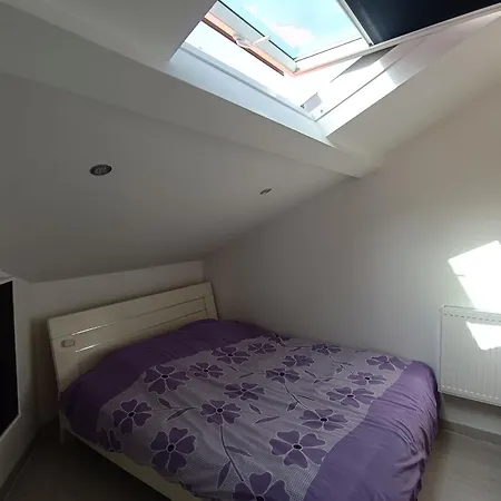 Charming T5 With Garden And Terrace